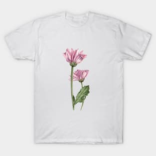 Love of Chrysanthemums T-Shirt